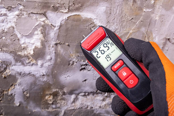 Best Comprehensive Air Testing for Mold Contaminants  in Foster Brook, PA